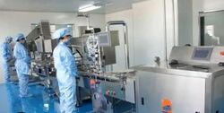 Ka Foodlink (D13), Factory #567997991